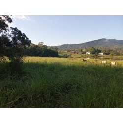 Fazenda a venda GO Corumbaiba pecuaria lavoura monta 31 alqueirao