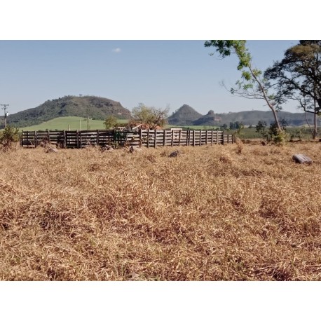 Sitio a venda Ribeirao Preto Santo Atonio da Alegria 10 alqueires