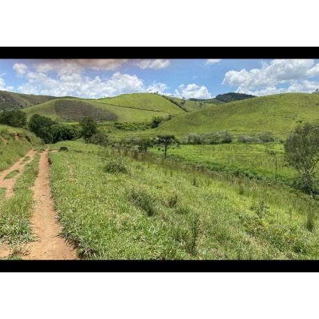 Fazenda a venda regiao Juiz de Fora Lima Duarte 228 ha