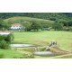 FAZENDA HISTÓRICA À VENDA Pousada