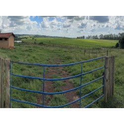 Fazenda a venda regiao Rio Preto Monte Aprazivel pecuaria