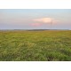 Fazenda a venda MS Regiao Campo Grande Pecuaria 3.450ha