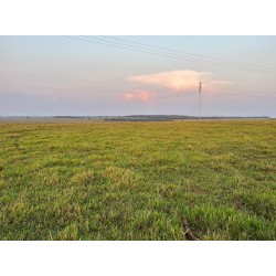 Fazenda a venda MS Regiao Campo Grande Pecuaria 3.450ha