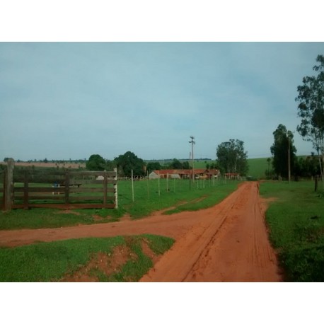 Fazenda a venda SP Presidente Prudente pecuaria lavoura 750 alqueires