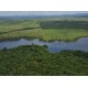 Fazenda a venda MT divisa Rondonia Pecuaria credito Carbono