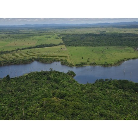 Fazenda a venda MT divisa Rondonia Pecuaria credito Carbono