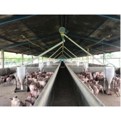 Fazenda a venda Granja de suinos e aves no triangulo MIneiro