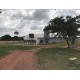 Fazenda a venda Granja de suinos e aves no triangulo MIneiro