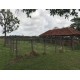 Fazenda a venda Granja de suinos e aves no triangulo MIneiro