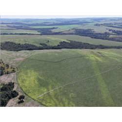 Fazenda a venda Sul de Goias lavoura dupla aptidao Regiao Ipameri