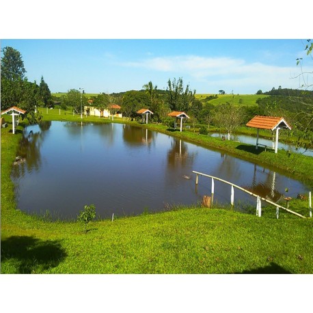 Sitio Pesqueiro Arrendamento interior sp montado com casa